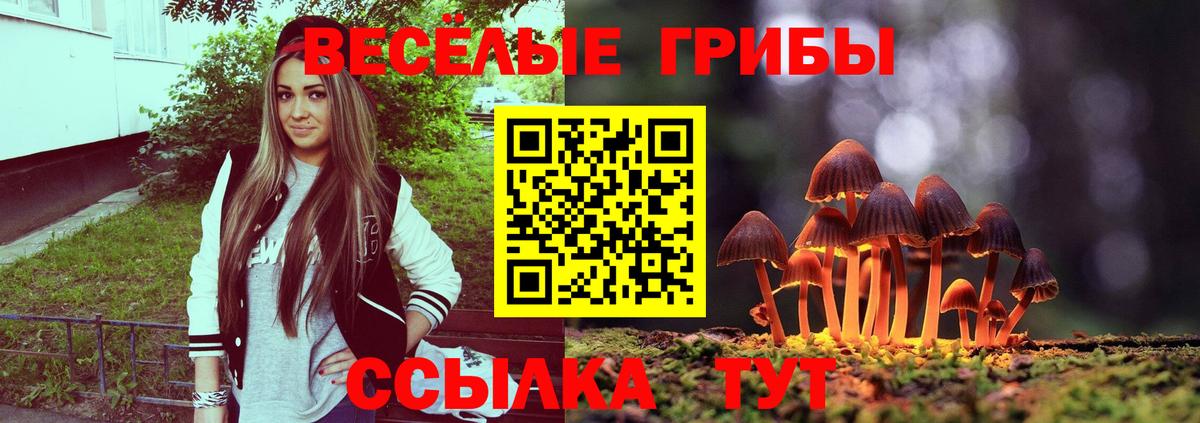 Галлюциногенные грибы Psilocybe  Галлюциногенные грибы мухоморы  сколько стоит  Нижнеудинск  Вход с VPN 